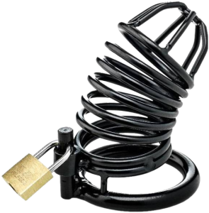 ZENN Black Cock Cage With 3 Cockrings